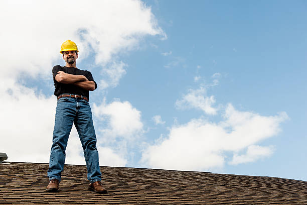 Best Commercial Roofing Services  in Lena, IL