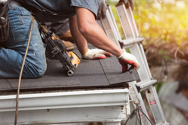 Best Commercial Roofing Services  in Lena, IL